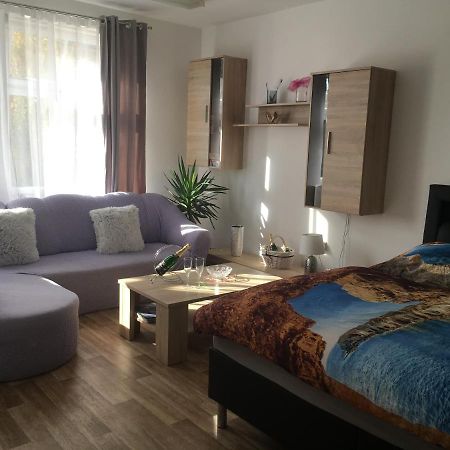 Cecilka Apartment Náchod Екстериор снимка